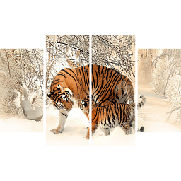 Картина «Амурский Тигр и малыш 3»