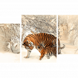 Картина «Амурский Тигр и малыш 2»