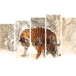 Картина «Амурский Тигр и малыш 6»