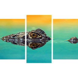 Картина «Крокодил 1»