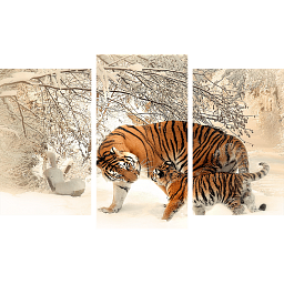 Картина «Амурский Тигр и малыш 1»
