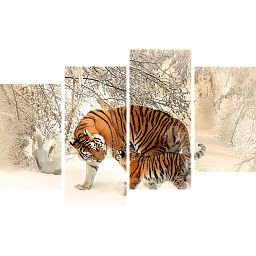 Картина «Амурский Тигр и малыш 4»