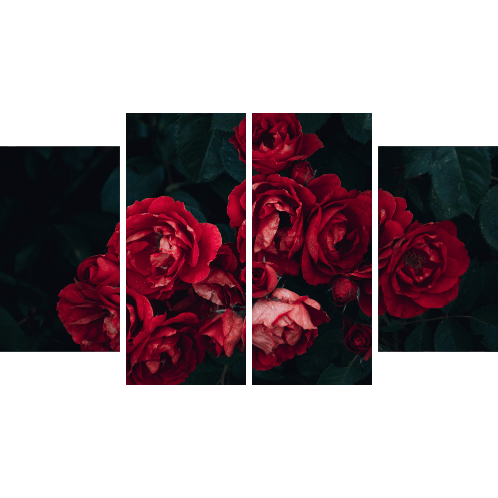 Картина «Красные розы 3»