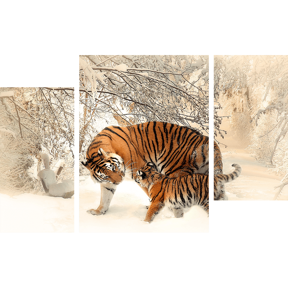 Амурский Тигр и малыш 2