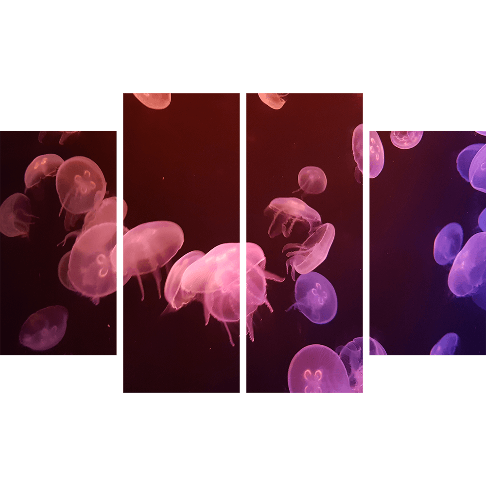 Картина «Яркие медузы 3»