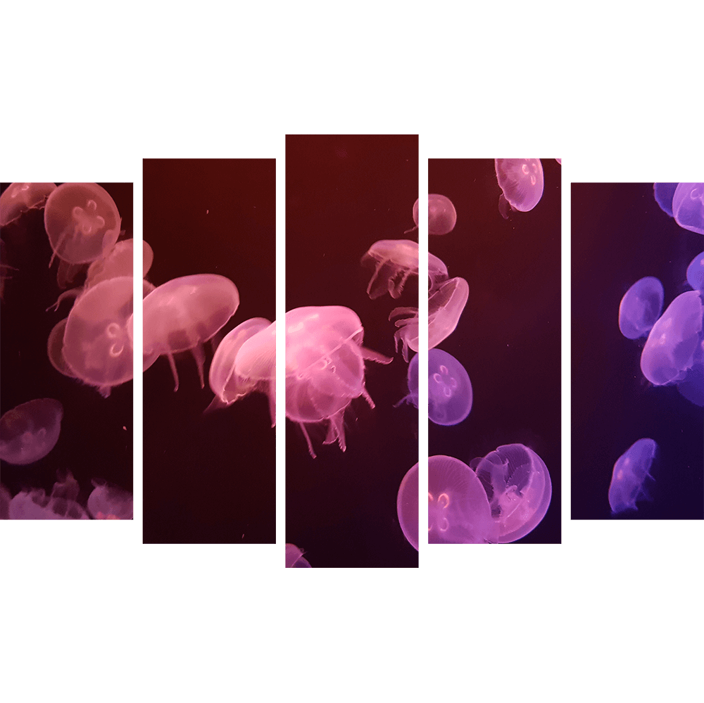 Картина «Яркие медузы 5»