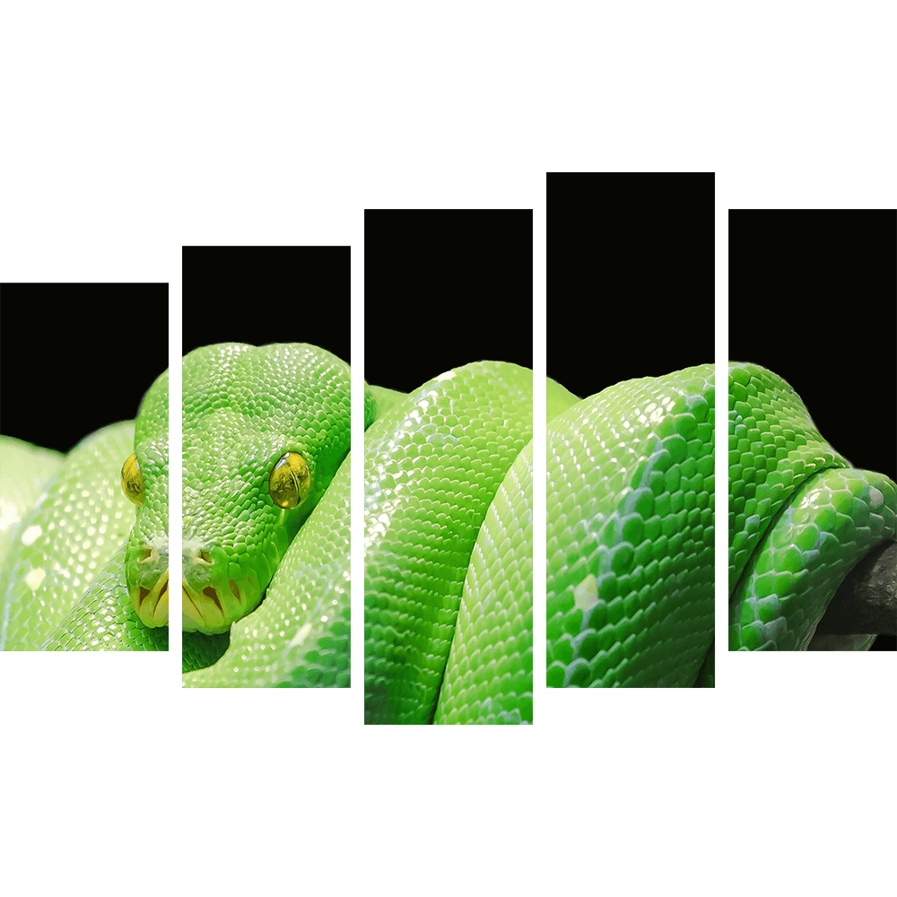 Картина «Зеленая змея 6»
