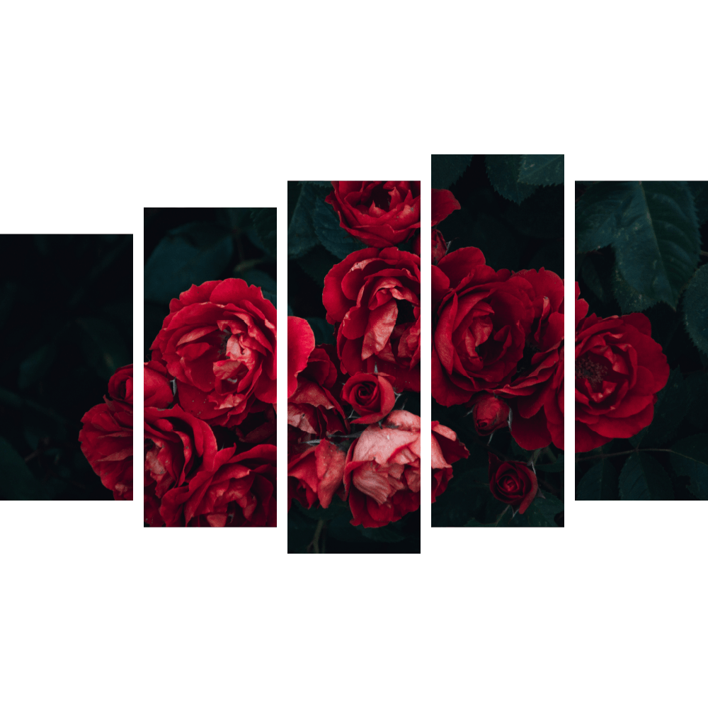 Картина «Красные розы 6»