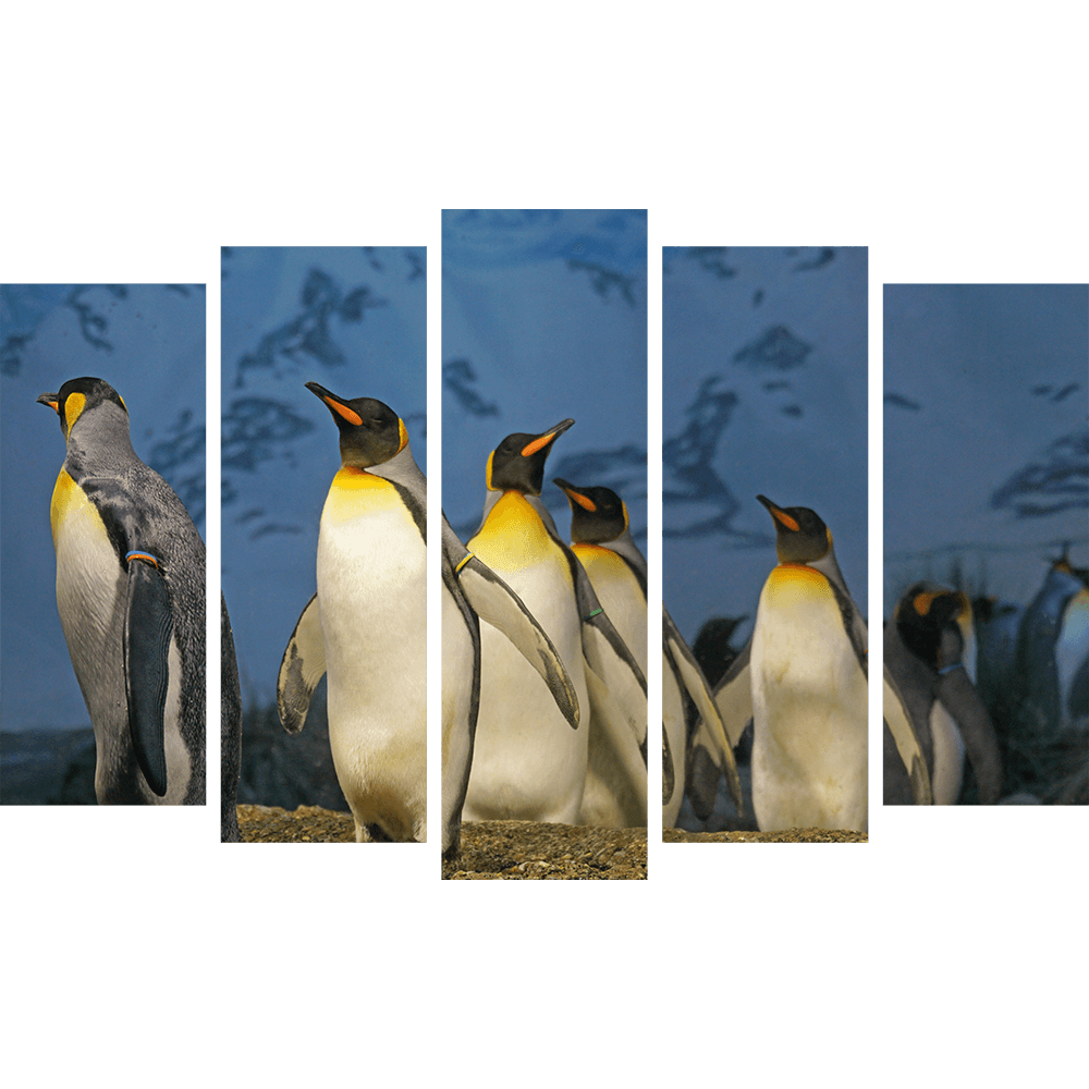 Картина «Императорские пингвины 5»