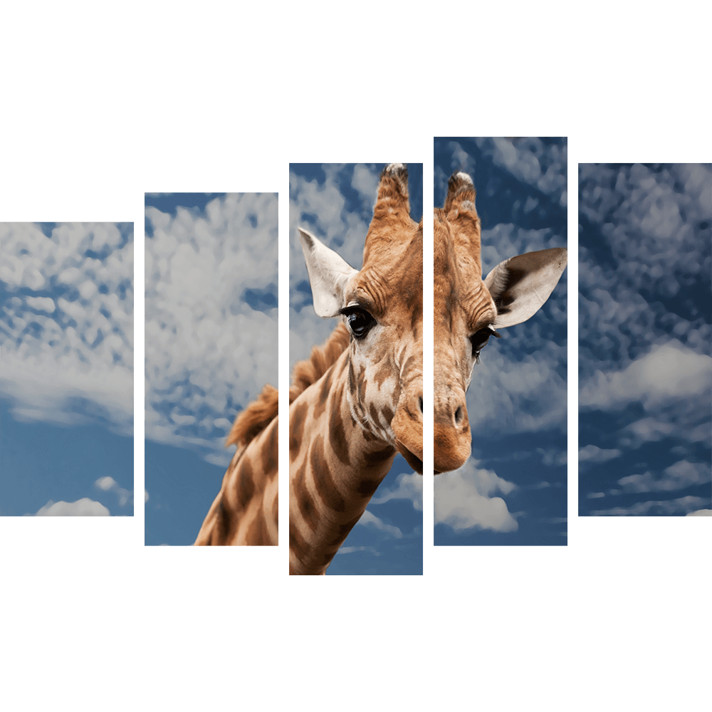 Жираф в облаках 6