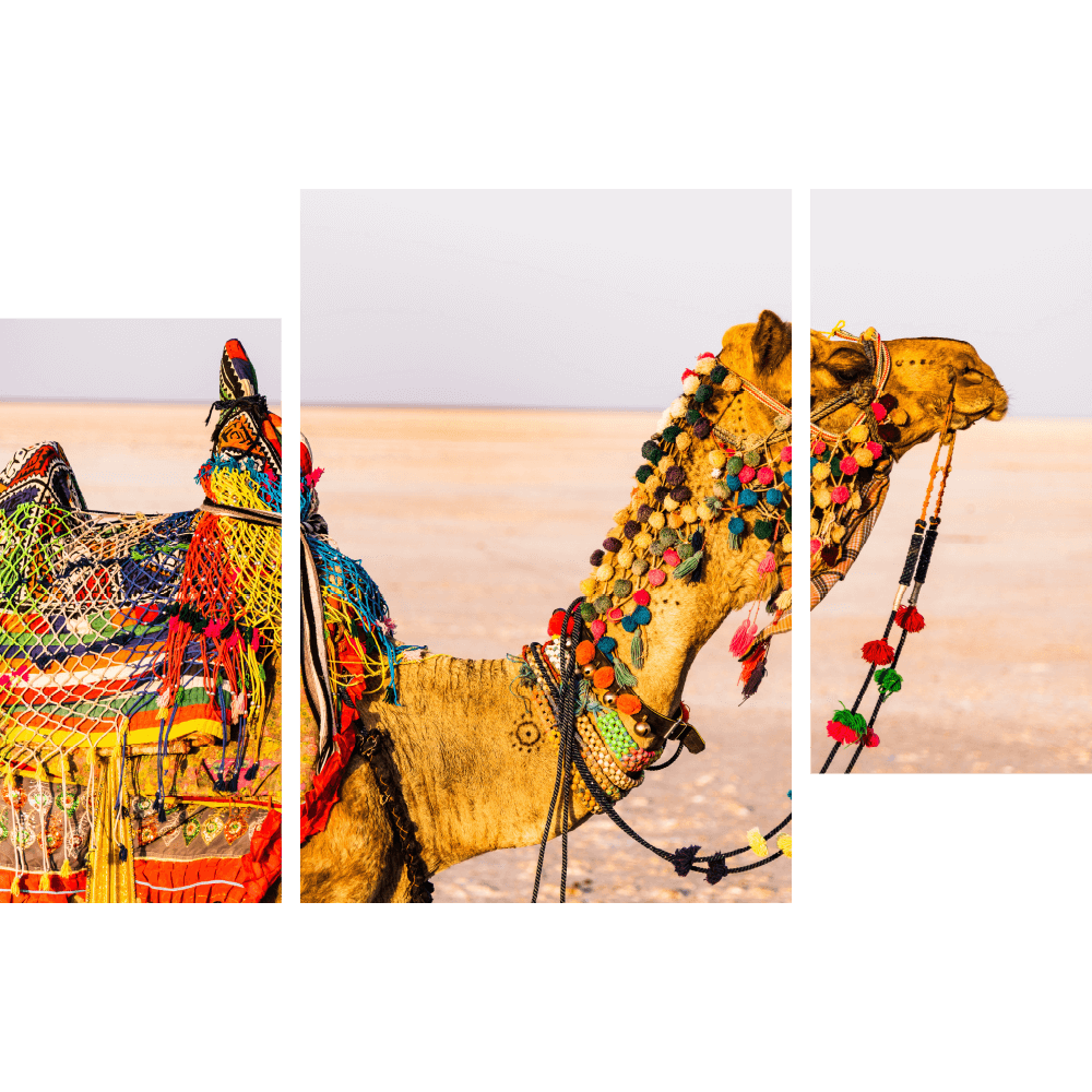 Верблюд в пустыне 2