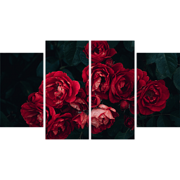 Красные розы 3