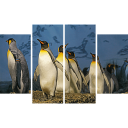 Картина «Императорские пингвины 3»
