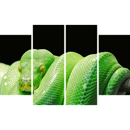Зеленая змея 3