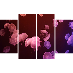 Яркие медузы 3