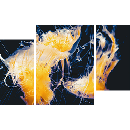 Картина «Морская медуза 2»