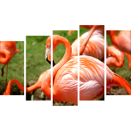Картина «Фламинго 6»