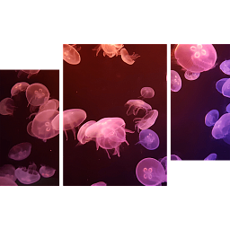 Яркие медузы 2