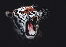 Картина «Оскал Тигра»