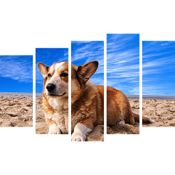 Картина «Корги на отдыхе 6»
