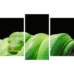 Картина «Зеленая змея 1»