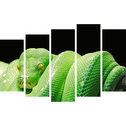 Зеленая змея 6