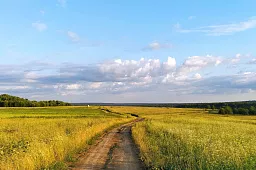Картина «Проселочная дорога»