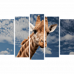 Картина «Жираф в облаках 5»