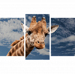 Картина «Жираф в облаках 1»