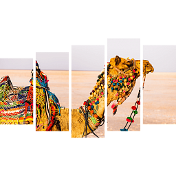 Картина «Верблюд в пустыне 6»