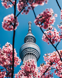 Картина «Города 4»