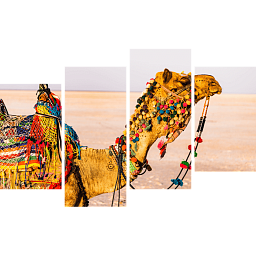 Картина «Верблюд в пустыне 4»