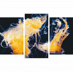 Картина «Морская медуза 1»