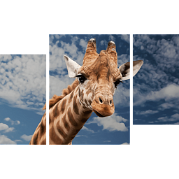 Картина «Жираф в облаках 2»