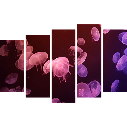 Картина «Яркие медузы 6»