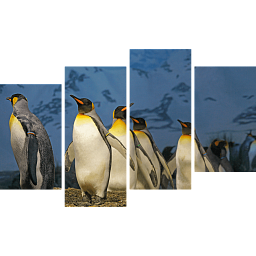Картина «Императорские пингвины 4»