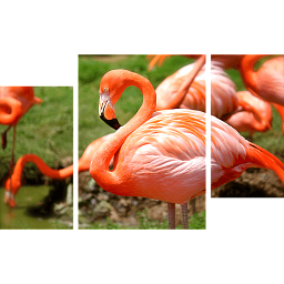 Картина «Фламинго 2»