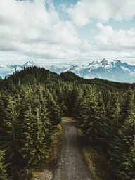 Картина «Пейзаж дороги к горам»