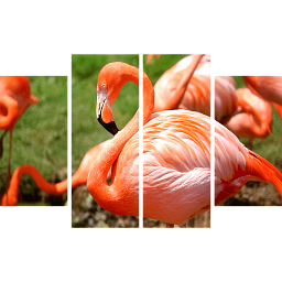 Картина «Фламинго 3»