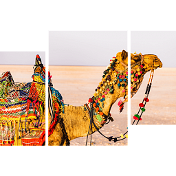 Картина «Верблюд в пустыне 2»