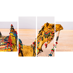 Картина «Верблюд в пустыне 3»