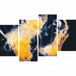 Картина «Морская медуза 4»