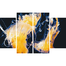 Картина «Морская медуза 3»