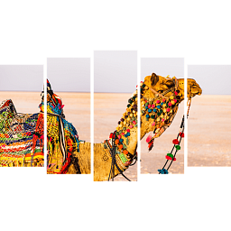 Картина «Верблюд в пустыне 5»