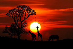 Картина «Животные Африки»