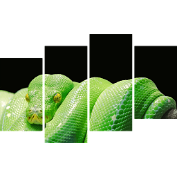 Зеленая змея 4